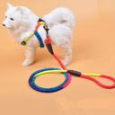 Colorful Nylon Round Hand Holding Dog Rope Pets