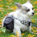Fashion Personality Pet Supplies Dog Bag