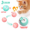 Cat Gravity Intelligent Rolling Ball Tease Toy Pet