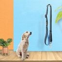 Dog Leash Nylon Assisted Retractable