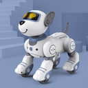 Stunt Pet Dog Electric Gesture Sensing Remote Control