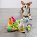 Pet Puzzle Play Tibetan Food Sports Training Bowling