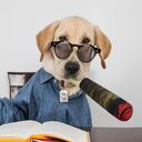 Pet Toys Dog Jokes Prank Fake Cigarettes