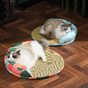 New Summer Cool Pet Sofa Beds Weaving Rattan