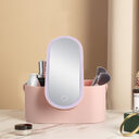 Storage Box LED Makeup Mirror Portable Travel Organizer
