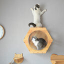 Solid Wood Scratching Post Cat Drilling Hole Luxury