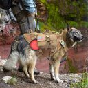 Malinois Large Dog Hand Holding Rope Chest Vest