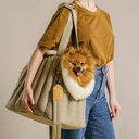 Pet Dog Cat Bag Carrier Light Waterproof Out