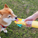 Pets Go Out Portable Feeding And Water Cup