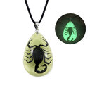 Scorpion Luminous Necklace Animal Resin Water Drop Pendant