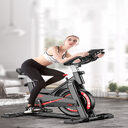 Spinning Bike Home Fitness Equipment Silent
