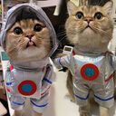 Pet Turned Dog Funny Dress Up Space Suit