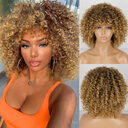Synthetic Afro Curly Wig African Wigs For Black