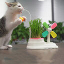 Windmill Funny Cat Stick Toy Desktop Grass Box