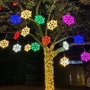 New Christmas Fashion LED Snowflake Light Waterproof Decoration