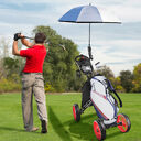 Foldable 4 Wheels Golf Trolley Supplies