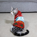 Dog Cat Sweater Pet Christmas Knitting High Collar