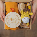 Baby Teething Toys Teether Gift Set