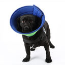 Dog Cat Anti-bite Collar Pet Medical Recovery Collars