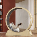 Cat Specific Treadmill Fitness Roller Silent Sports Running