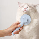 Pet Cat Comb Hair Brush For Floating Cleaner