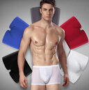 Ice Silk Seamless Men Boxers Luxury Underwear Sp