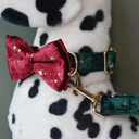 Pet Collar Bow Tie Dog