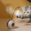 Enjoying Electric Intelligent Bite Resistant Cat Toys Pet