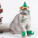Pet Supplies Dog Christmas Hat 4-piece Green Foot