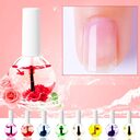 Nail Beauty Dried Flowers Nutrition Treatment Oil Anti-agnail