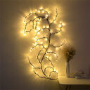 LED Light String Arrangement Colored Rattan Room Decorative