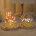 Handmade Tulip Night Light Heat Shrinkable Film DIY