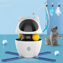 New Cat Toy Automatic Smart Stick Spill Ball