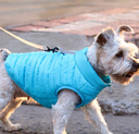 New Pet Dog Clothing Autumn And Winter Full