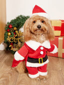Christmas Pet Small Dog Costume
