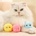 Kitty Calling Ball Toy Light-emitting Cat Teasing Catnip
