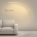 Minimalist Modern Floor Lamp - Black And White