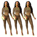 Casual Striped Cloth Printed Embroidery Suit
