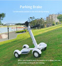 Four Wheel Golf Electric Folding Light Longboard Lawn