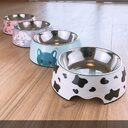 Dog Bowl Cat Food Stainless Steel Pet Supplies