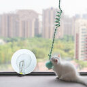Interactive Cat Hanging Toy Simulation Funny Self-hey