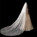 Bridal Wedding Dress Long Tail Luxury Super Fairy