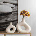 Living Room Display Cabinet Decorative Ornaments Ceramic Vases