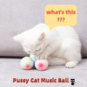 New Self-Hi Pussy Cat Music Ball Sounds
