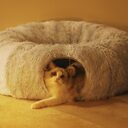 Cat Nest Four Seasons Universal Closed Tunnel