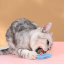 Pet Cat Mint Ball Toy Zihi Molar Products