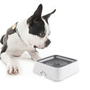 2L Cat And Dog Basin With Floating Bowl