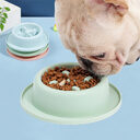 Pet Slow Food Bowl Anti-choking Apparatus