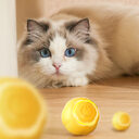 Pet Smart Rolling Ball Cat Toy Bite-resistant Boredom