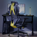 Ergonomic Esports Chair Home Computer With Pedal